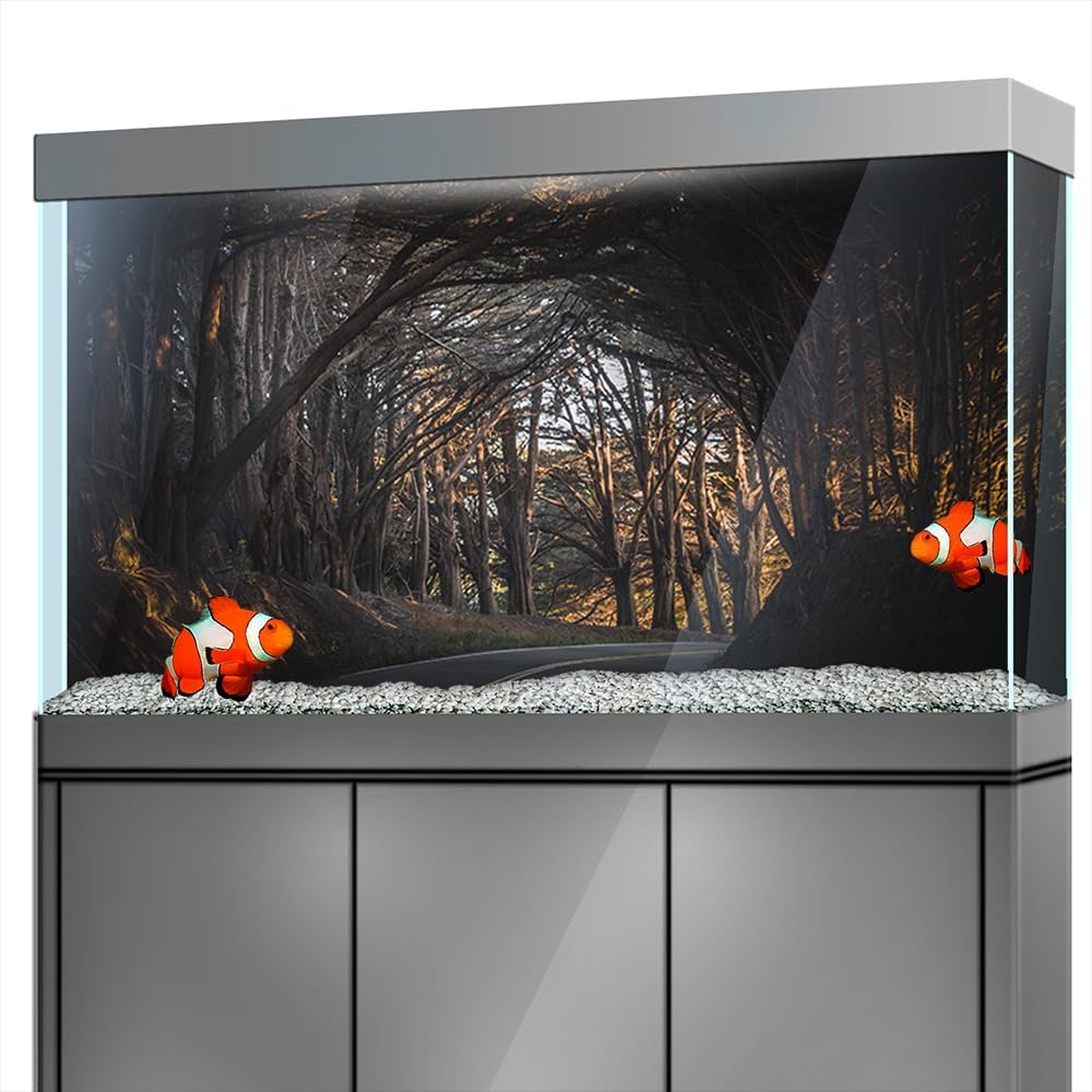 Aquarium Background Stickers - Road Trees Canopy Self-Adhesive Fish Tank Reptile Terrarium Decor Poster (90 x 60 cm / (35.4 x 23.6 inches))