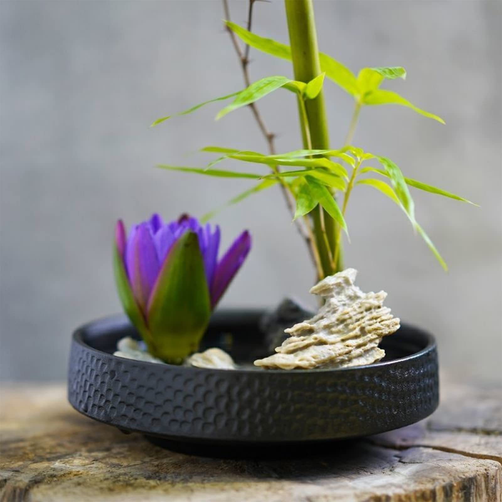 WANDIC Blumenarrangement Zubehör, Innen- und Außen kreisförmige Keramik Blumentöpfe, Hämmer, Schwarze Blumentöpfe, verwendet für IKEA Florale Home Office Dekoration