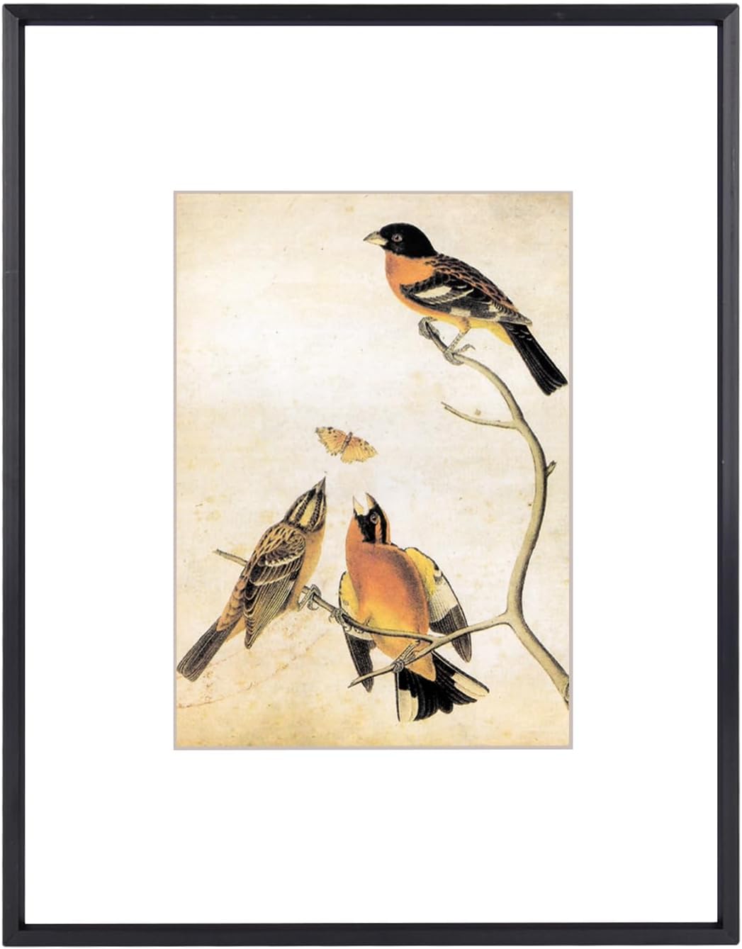 BKABOT 8.5x11 Picture Frame, Black Metal Photo Frames with