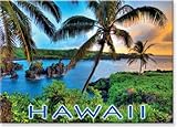 Hawaiian Art Collectible Refrigerator Magnet - Where da Coconuts Grow
