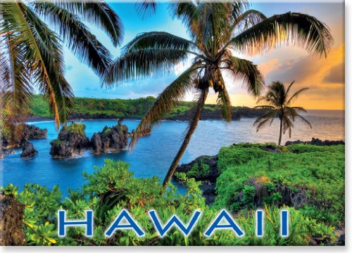 Imán decorativo de refrigerador con arte hawaiano miniatura 1