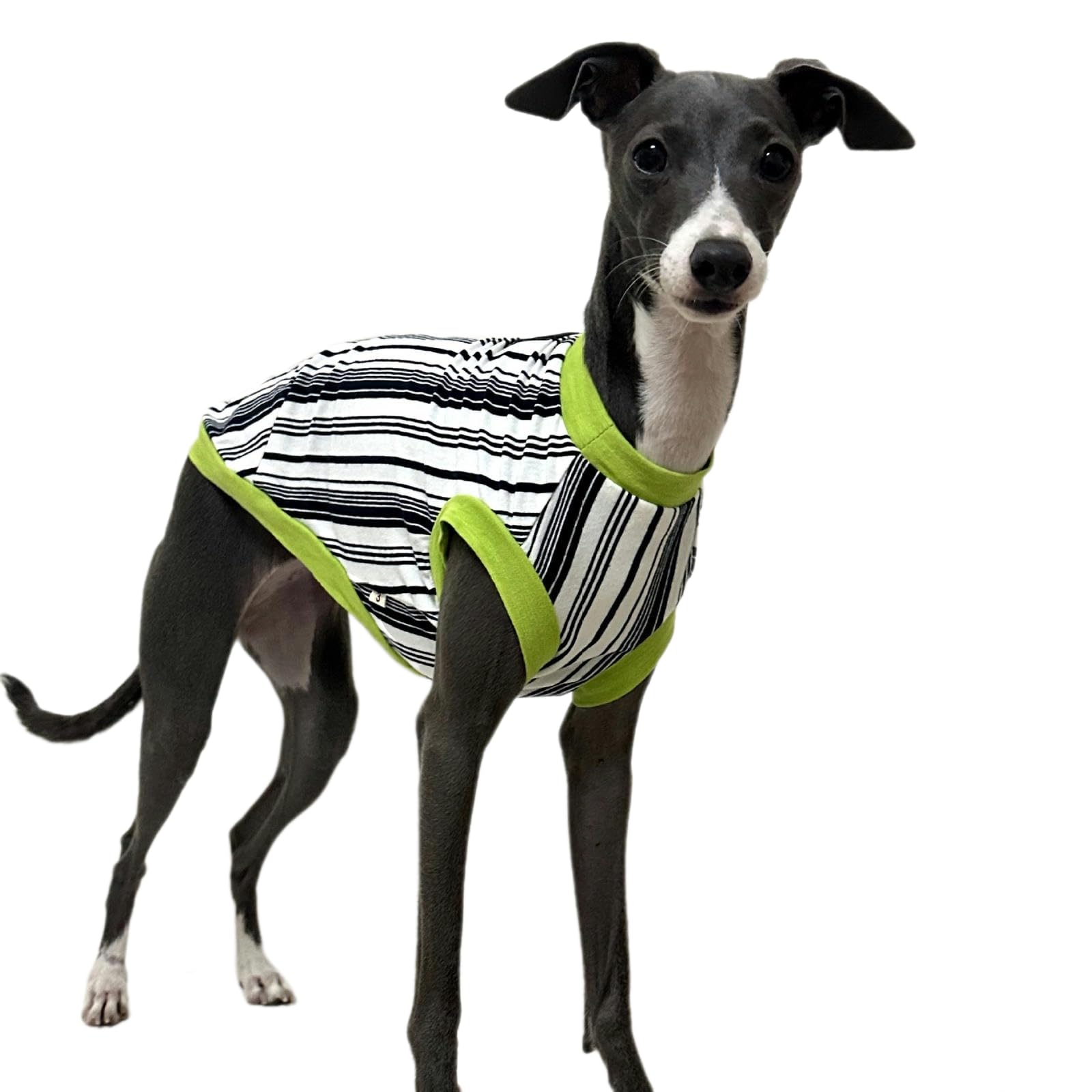 Camisas para Perros, Camisetas a Rayas de algodón, Chaleco Fresco de Galgo Italiano de Verano, Ropa Suave y Transpirable para Cachorros para Perros pequeños, medianos y Grandes