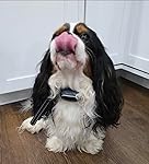 Review Image by TheHelpfulDogMom TheHelpfulDogMom