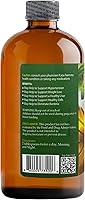 Vista 3 de LIQUID BLENZ Pure Soursop Bitters with Moringa & Turmeric Herbal Detox & Natural Energy Support 16 fl oz