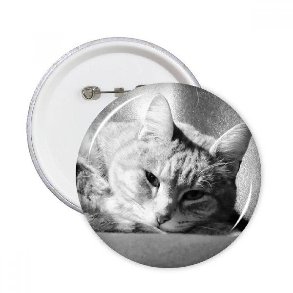 Image ronde chat gris XXL idée décoration de cadeau originale - 3