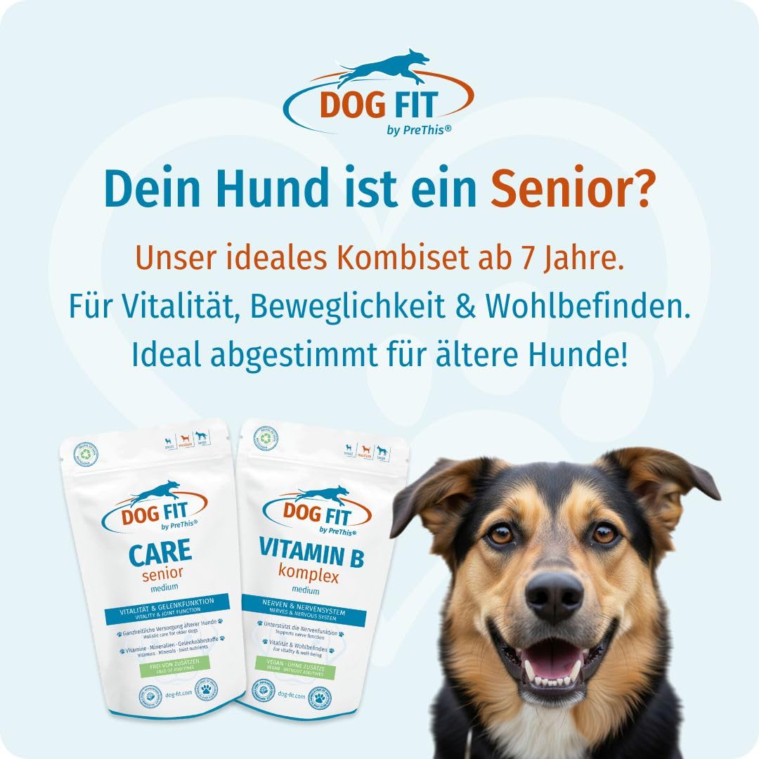 DOG FIT by PreThis® Senior-Vital-Bundle für Hunde: Care Senior & Vitamin B Komplex medium 10-25 kg I Ganzheitliche Unterstützung für Gelenke, Knochen & Nerven älterer Hunde