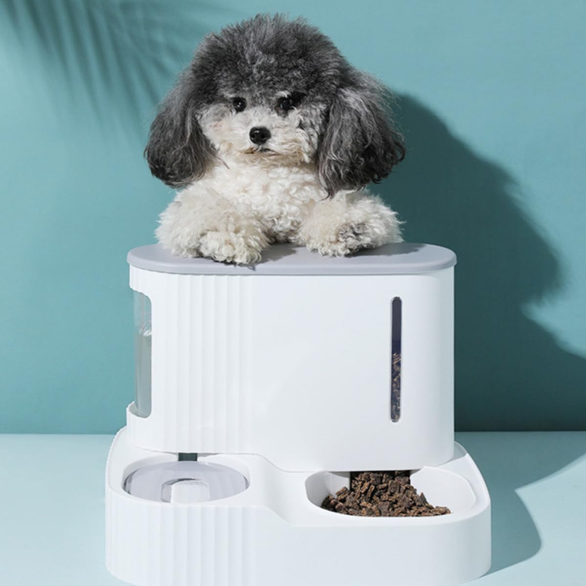 Distributore Automatico Cibo e Acqua Staccabile per Animali Domestici, Alimentazione e Abbeveraggio a Gravità Abs e Pet, 3l + 0,85l Colore Casuale per Cani e Pet