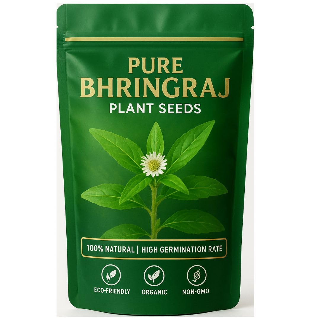 (190 Count) Bhringraj Plant Seeds – Known for Hair Strength and Health Benefits-image-27