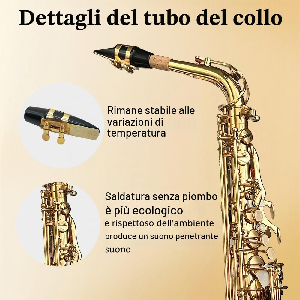 Yinfente Sassofono Contralto in Mi♭ per Principianti Adulti, Sassofono per Studenti, Sassofono Contralto in Mi Bemolle Kit Completo con Ance, Cuscinetti, Custodia Rigida da Trasporto, Panno e Asta per