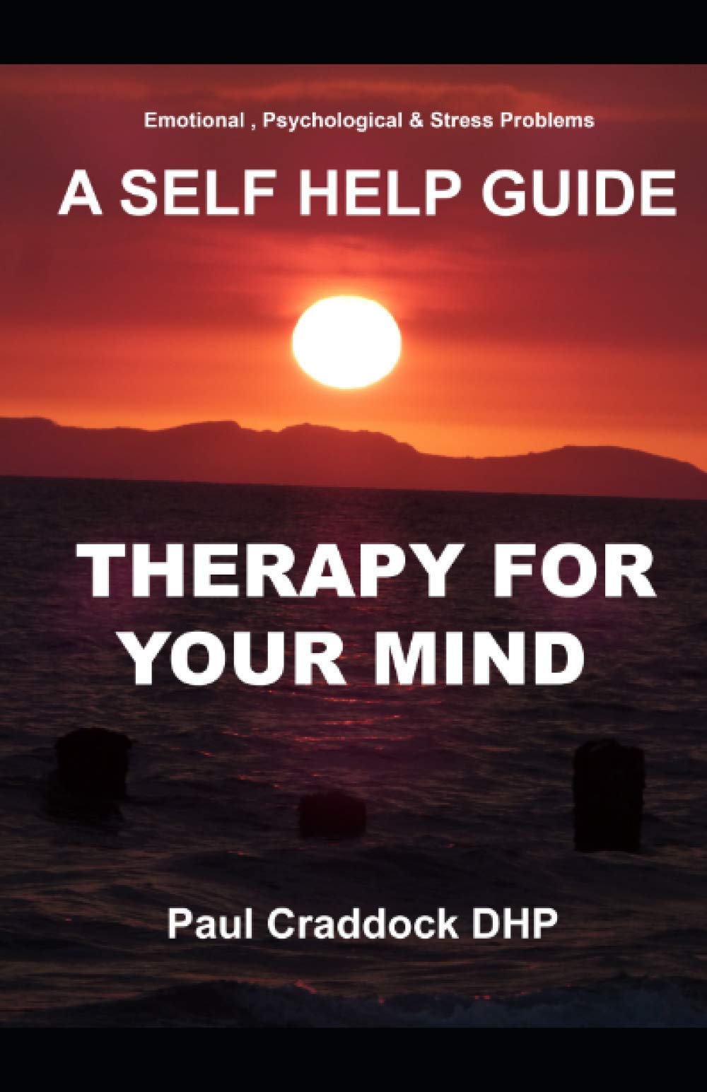 THERAPY FOR YOUR MIND: A SELF HELP GUIDE For Emotional, Psychological & Stress Problems