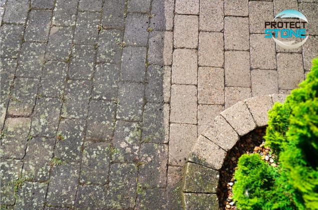 Décapant Voile de Ciment et mousse Deter Stone 5L (100m²) Nettoyant puissant pour Pierre Naturelle, Marbre, Carrelage, Béton – Élimine Laitances, Calcaire, mousse Action Rapide Intérieur/Extérieur
