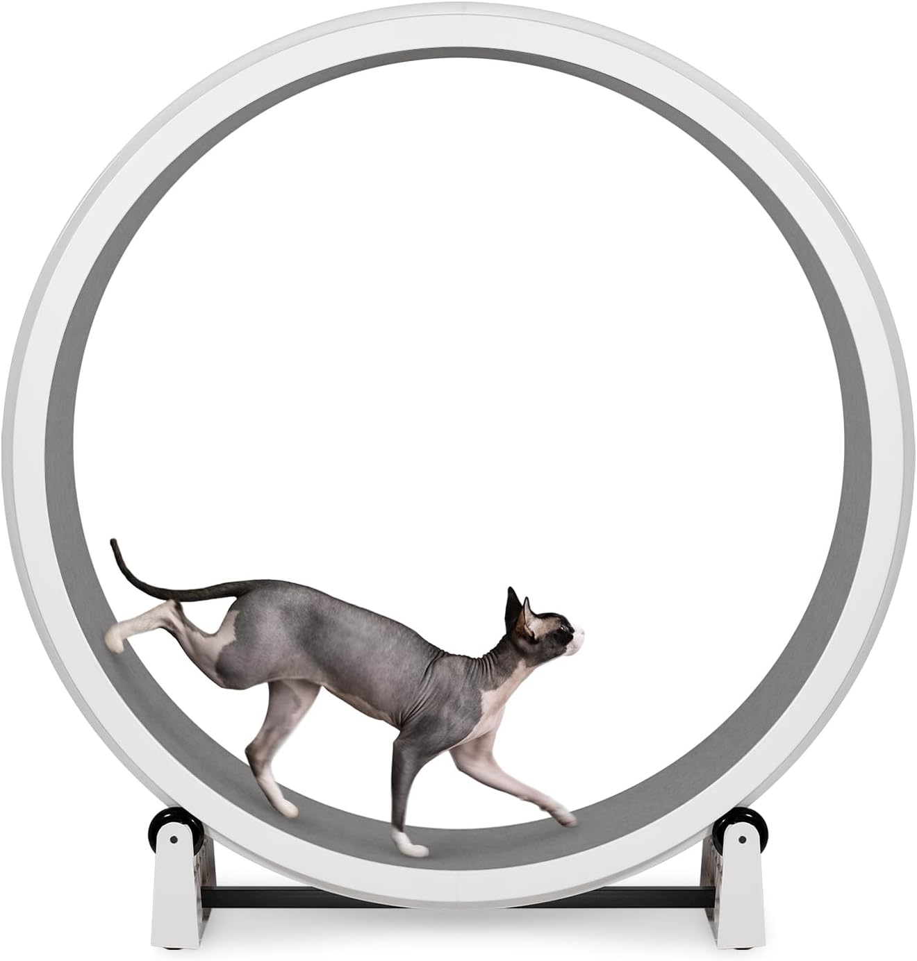 One Fast Cat - Cat Exercise Wheel - Made in the USA - 48" Diameter - Gen. 7 | White with Gray Felt Traction Pads and Solid Black Inline Wheels