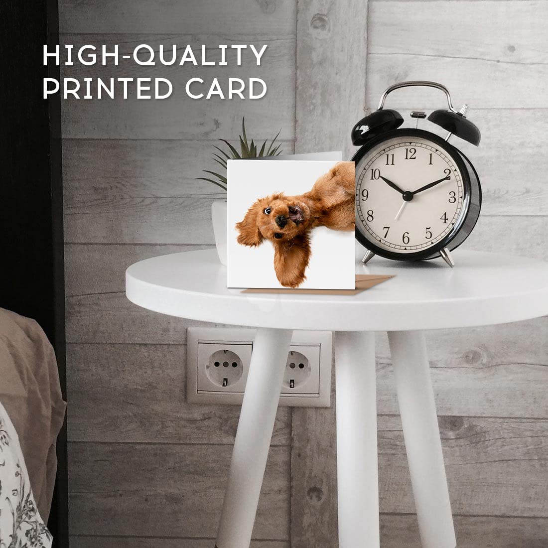 Chiens Cocker Cartes Cartes D'anniversaire Populaires | BE