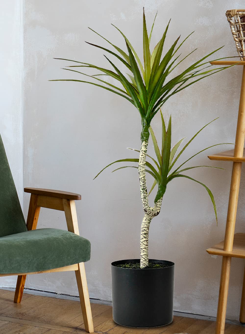 Amazon｜Serene Spaces Living 人工ユッカの木 黒いプラスチックポット 