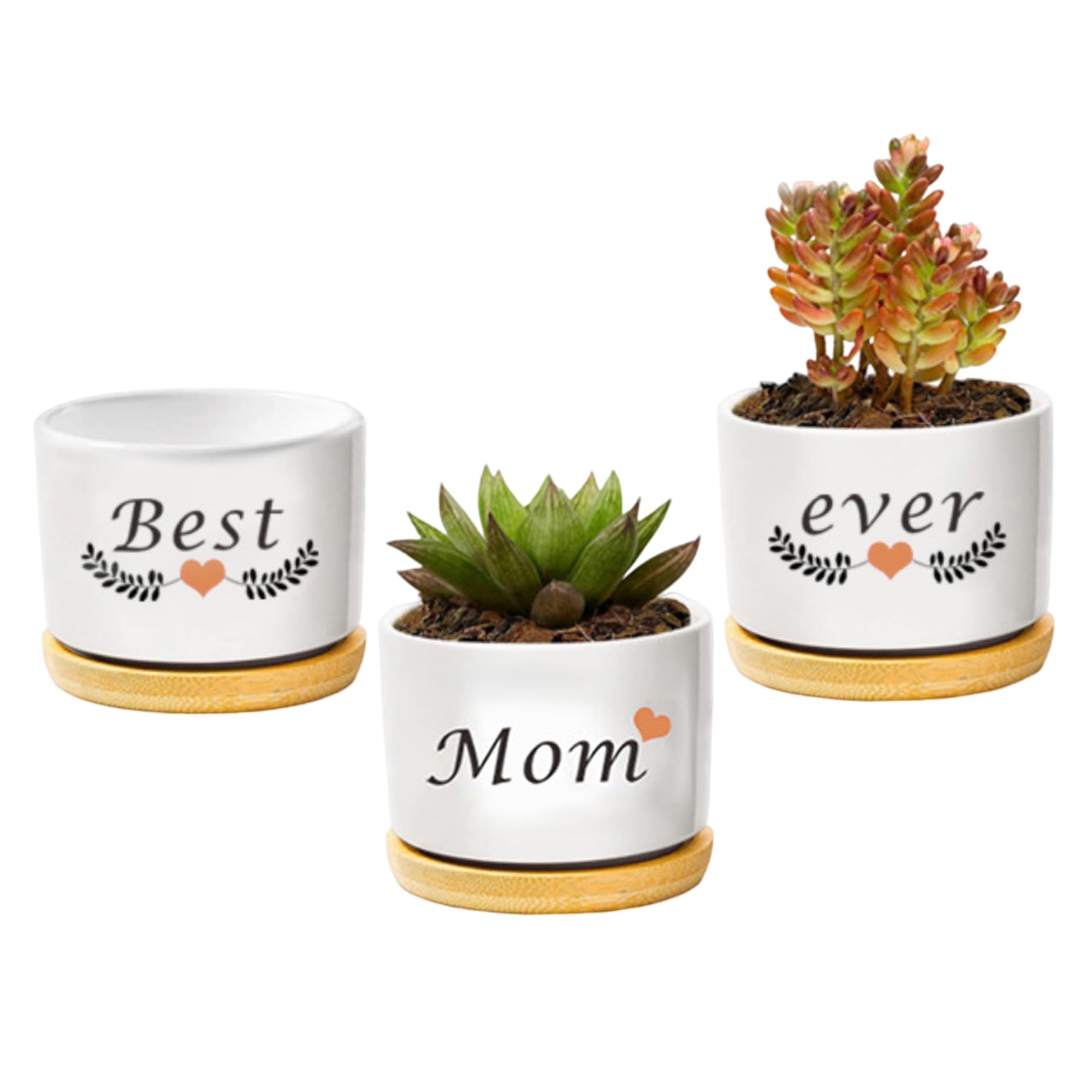 XJKLBYQ Birthday Gifts for Mum Best Mom Ever Succulent Pots Planter from Daughter Son Planters
