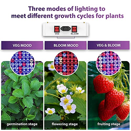 King LED 2000w LED Grow Lights