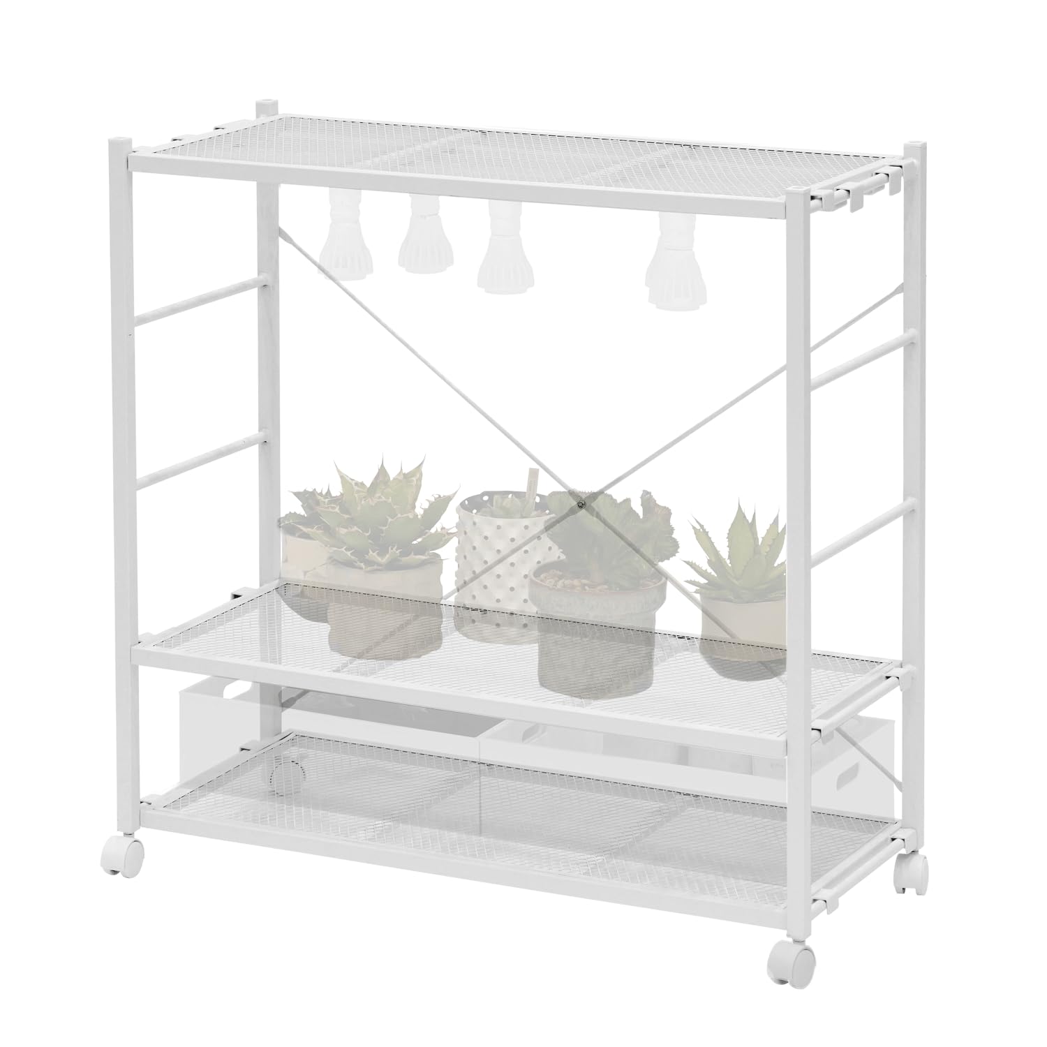 Amazon | BIBILAB(ビビラボ) ビザールプランツラック LPR-800-WH 植物 Amazon | BIBILAB(ビビラボ) ビザールプランツラック LPR-800-WH 植物