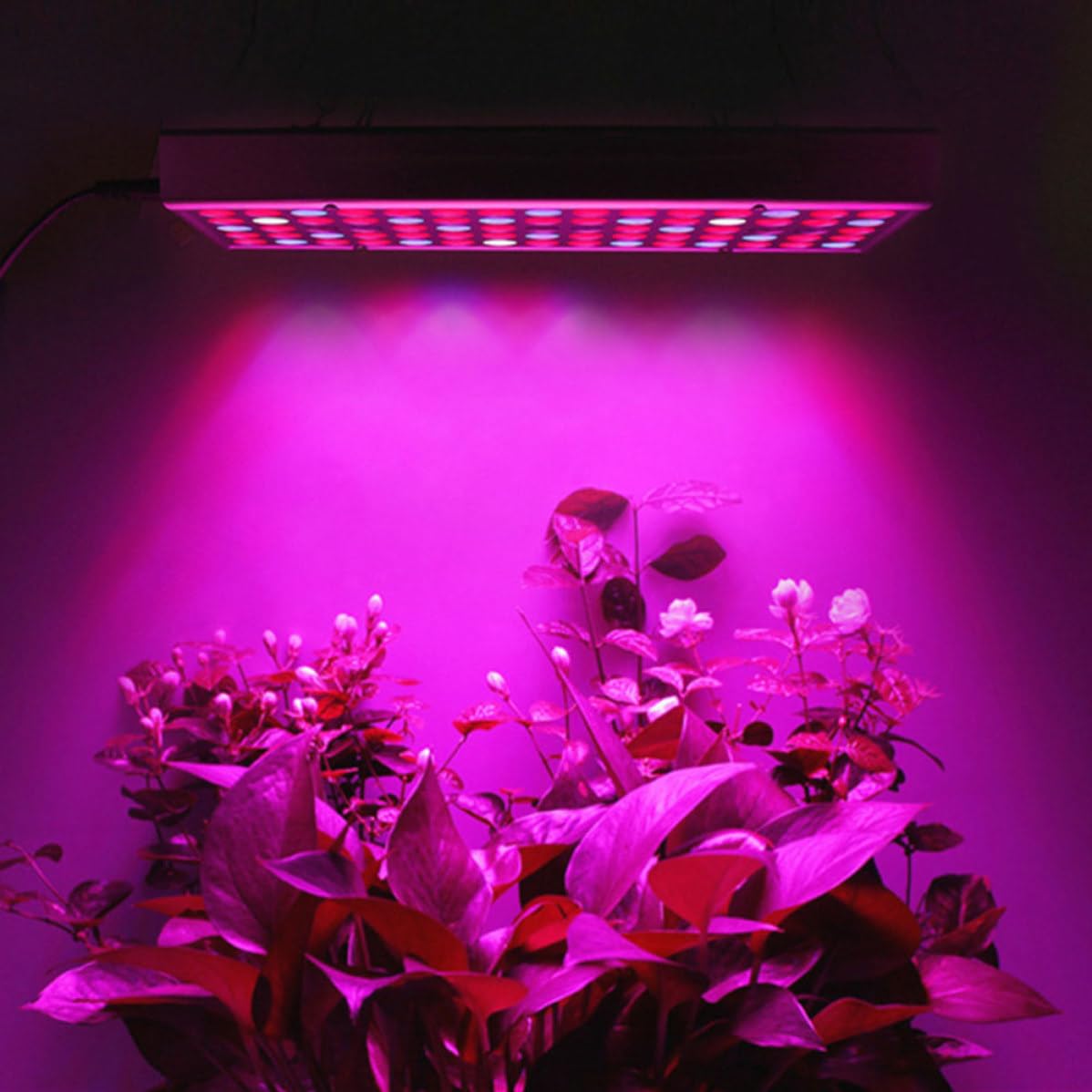 Lampada di Crescita per Piante LED 45w, Luce Full Spectrum