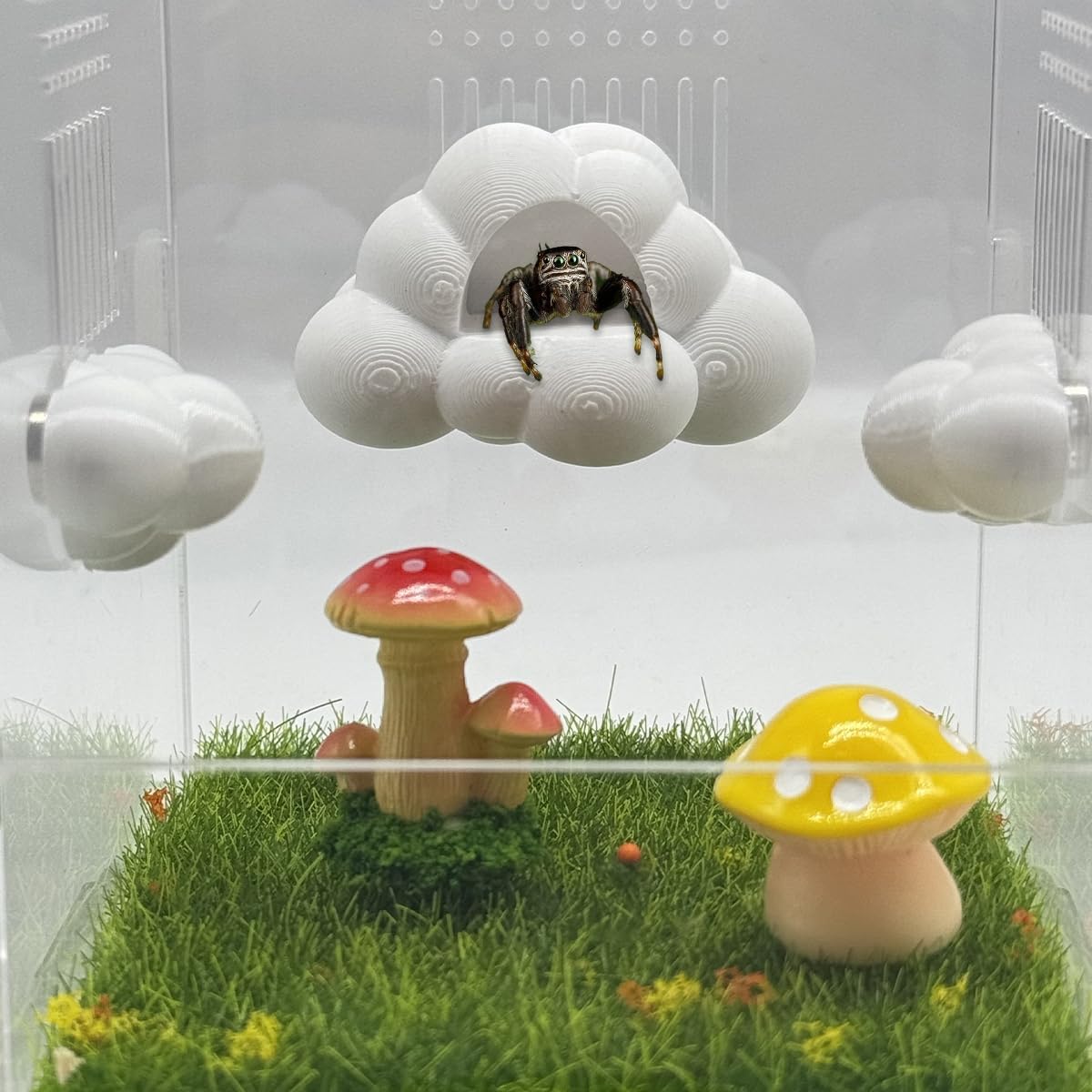 Jumping Spider Enclosure Accessories – 3 Pcs Jumping Spider Cloud Modelling Platforms with Magnetic Mounting for Climbing, Resting and Exploration