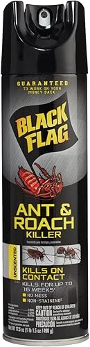 Miniatura 2 de Black Flag Ant and Roach Killer 17.5 onzas, aerosol en aerosol, sin perfume