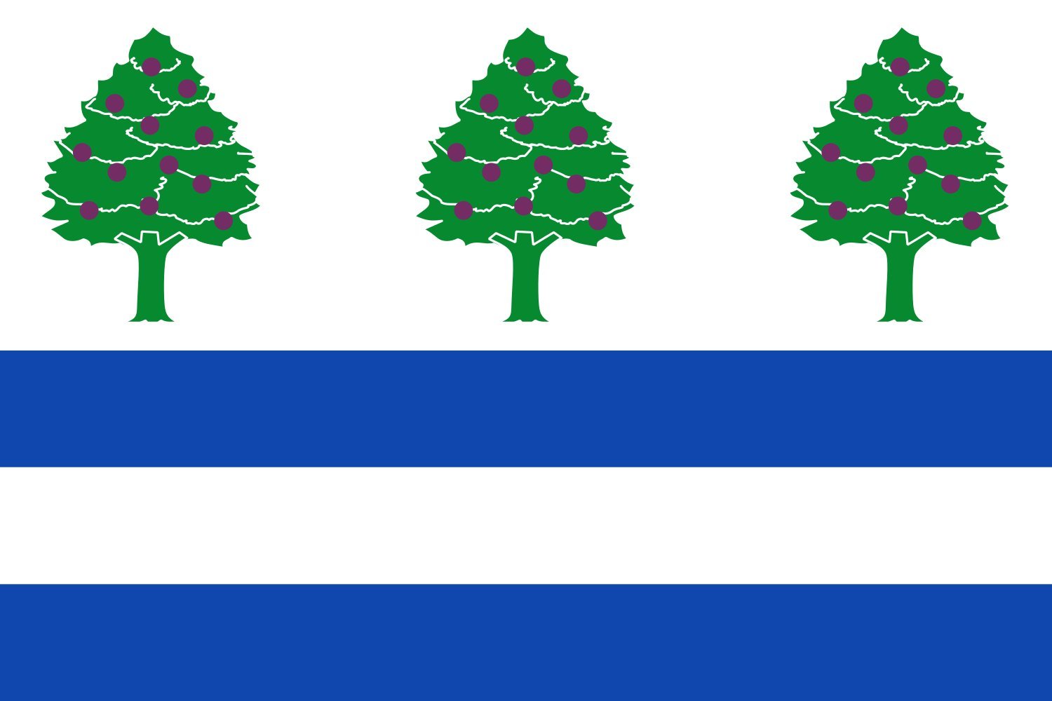 Drapeau Large Requejo pour pavoiser vos fêtes et événements extérieurs