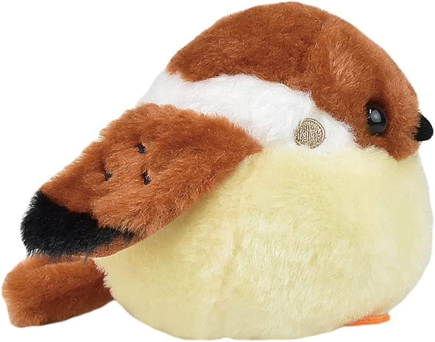 61Dcev-xzKS._AC_UF894, 61Dcev-xzKS._AC_UF894,