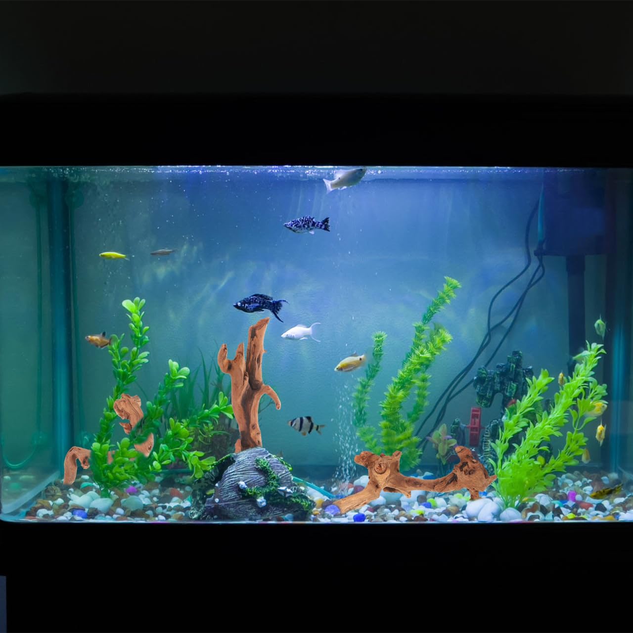 View 9