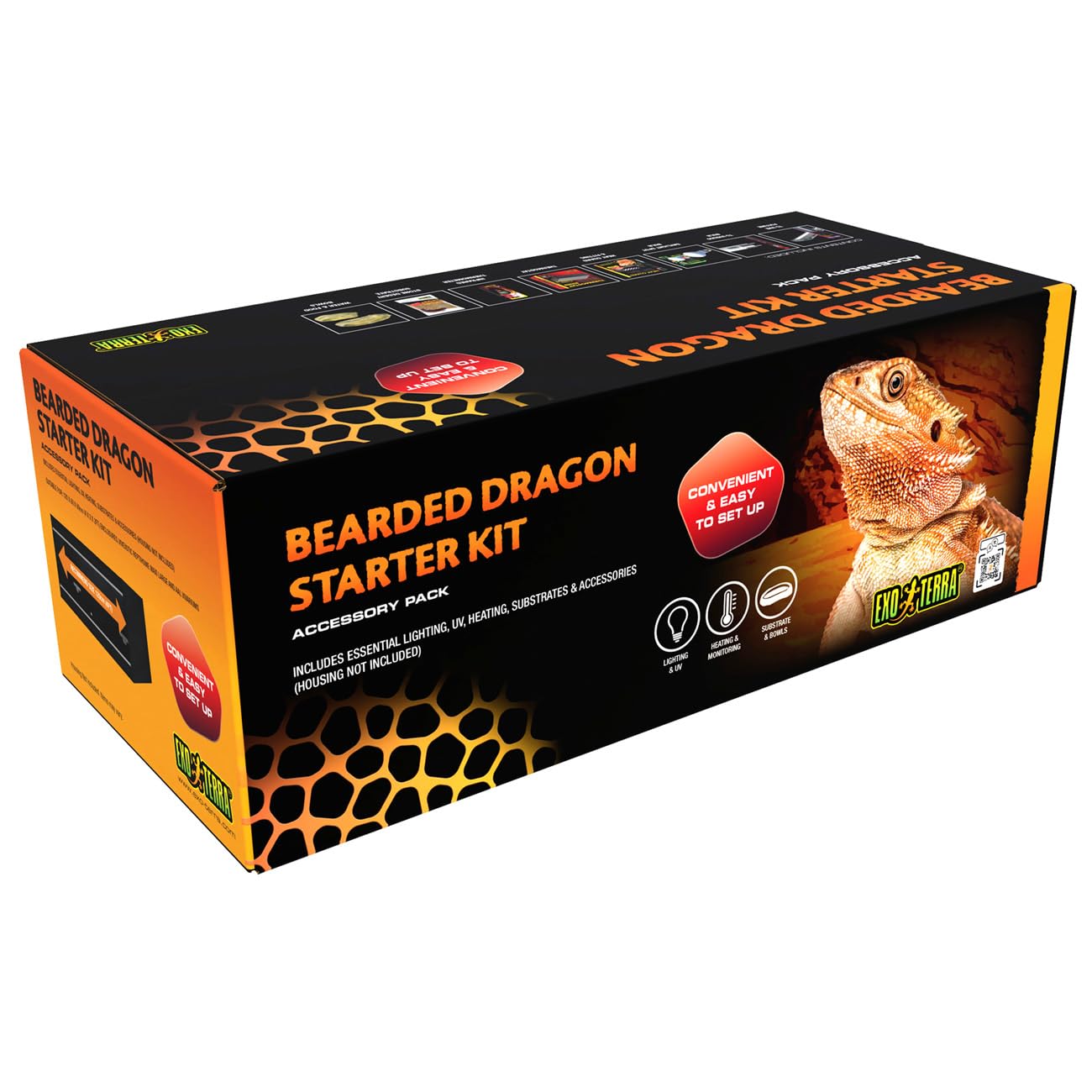 Exo Terra Bearded Dragon Vivarium Accessory Kit – Habitat Supplies for Juvenile & Adult Bearded Dragons