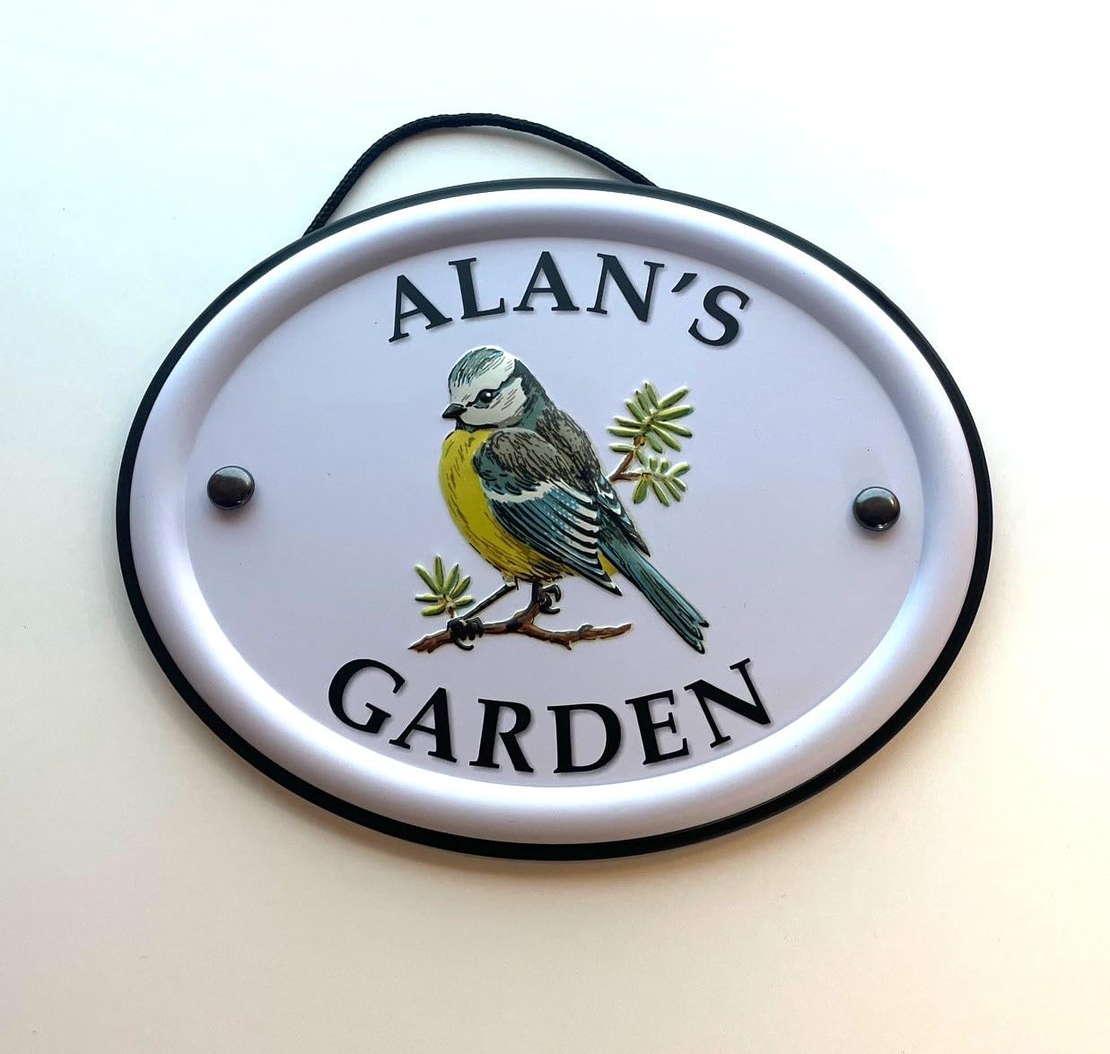 Personalised Embossed Metal Garden Sign 12x15cm – British Bird Design – Outdoor Decorative Hanging Garden Plaque – Weatherproof Metal Sign for Garden Walls Fences or Sheds (Alan) — image 1