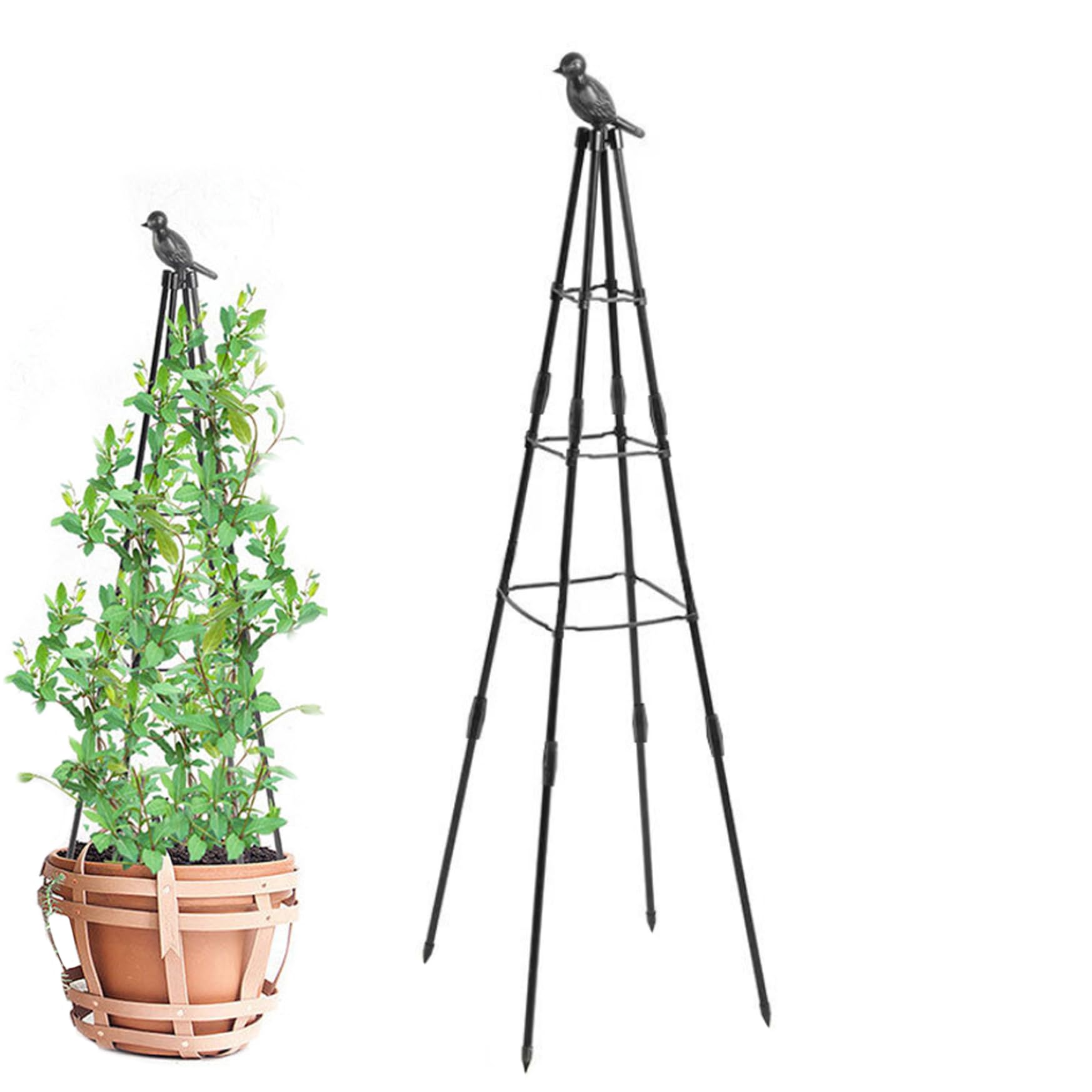 Treillis plantes grimpantes obélisque pour stopper l'affaissement des fleurs