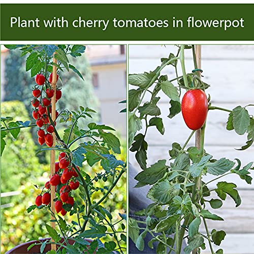Pllieay Plant Stakes Natural Bamboo Sticks Garden Bamboo Stakes For Indoor Plants And Outdoor Plants, Plant Support Stakes For Tomato Support, Beans, Potted Plants, Mini Trees,18Inch #TOP3