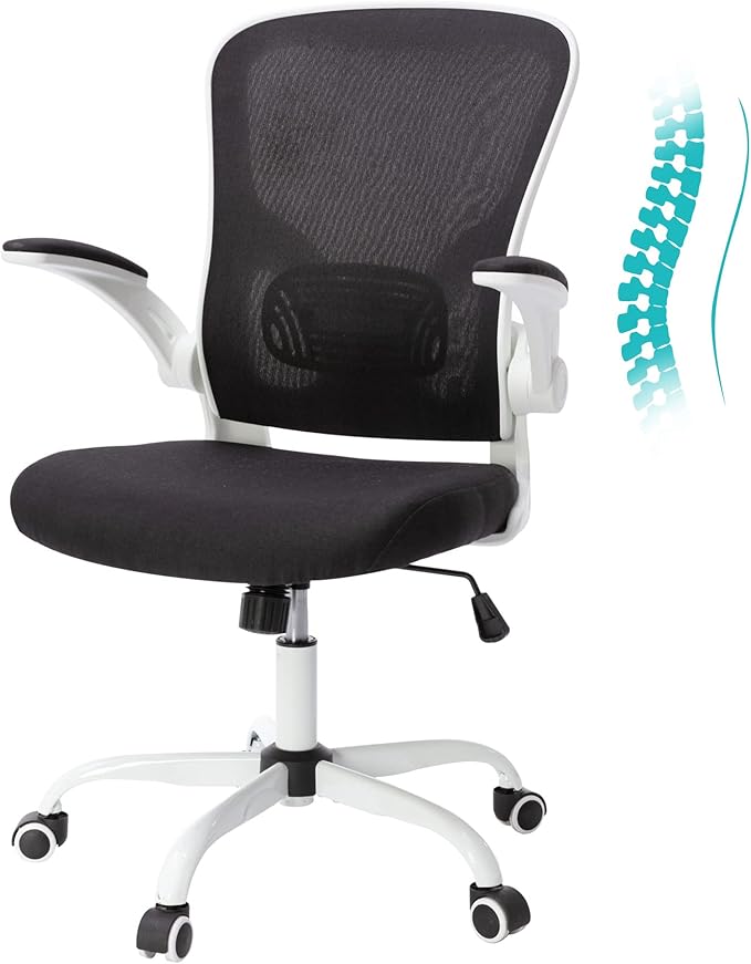 Bonzy Home Ergonomic Office Chair Mesh High Back Computer Chair Height Adjustable