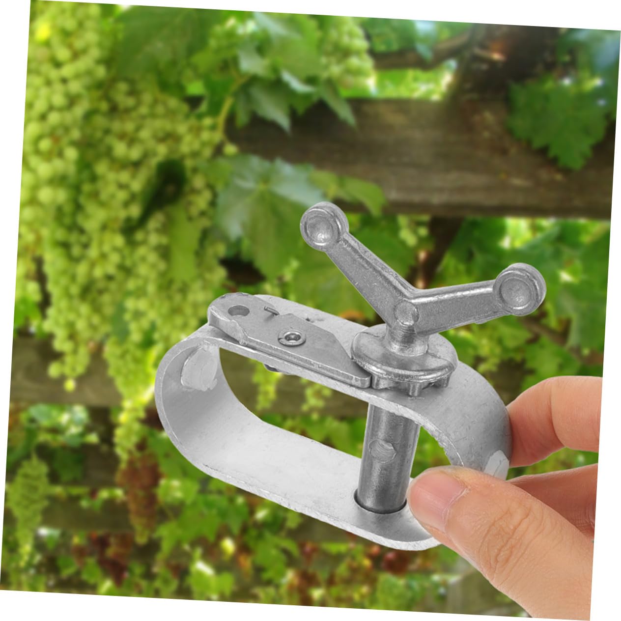 Tenditore per Cavi in Acciaio A3 8 Pezzi Argento per Vigneti | Strutture per Coltivazioni e Alberi da Frutto, Montaggio Semplice, Design Versatile, Resistenza alla Ruggine