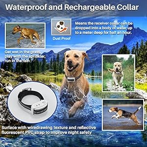 Electric wireless dog fence system pet containment system with waterproof and rechargeable training collar receiver for 2 dogs pets container boundary white   cucciolini doodles