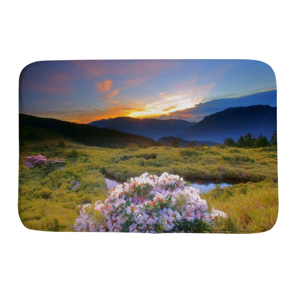 Tapis de bain en velours de corail CHEHONG motif paysage floral rose