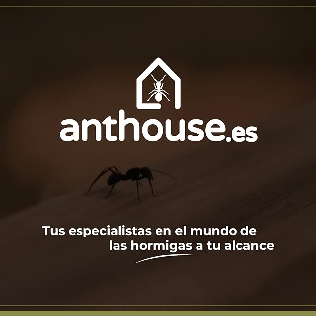 Foto 7 de 7 de Anthouse.es - Caja de Forrajeo para Hormigueros Modulares 3D - QBIK Nona