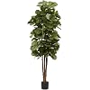 Product Photo 1