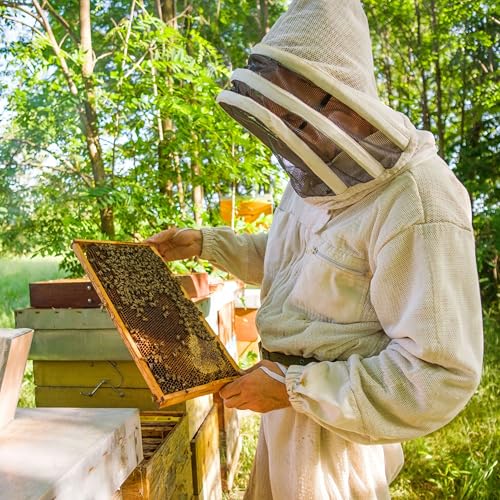 Cotton Jacket with Fencing Veil for Professional Beekeepers (Medi...