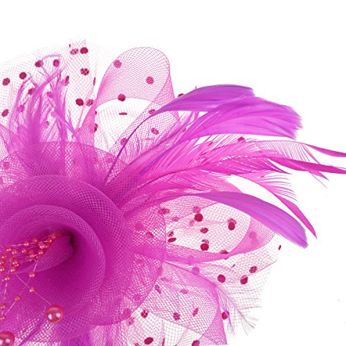 Image of DRESHOW Fascinators Hat Flower Mesh Ribbons Feathers on a Headband and a Clip Tea Party Headwear for Girls and Women