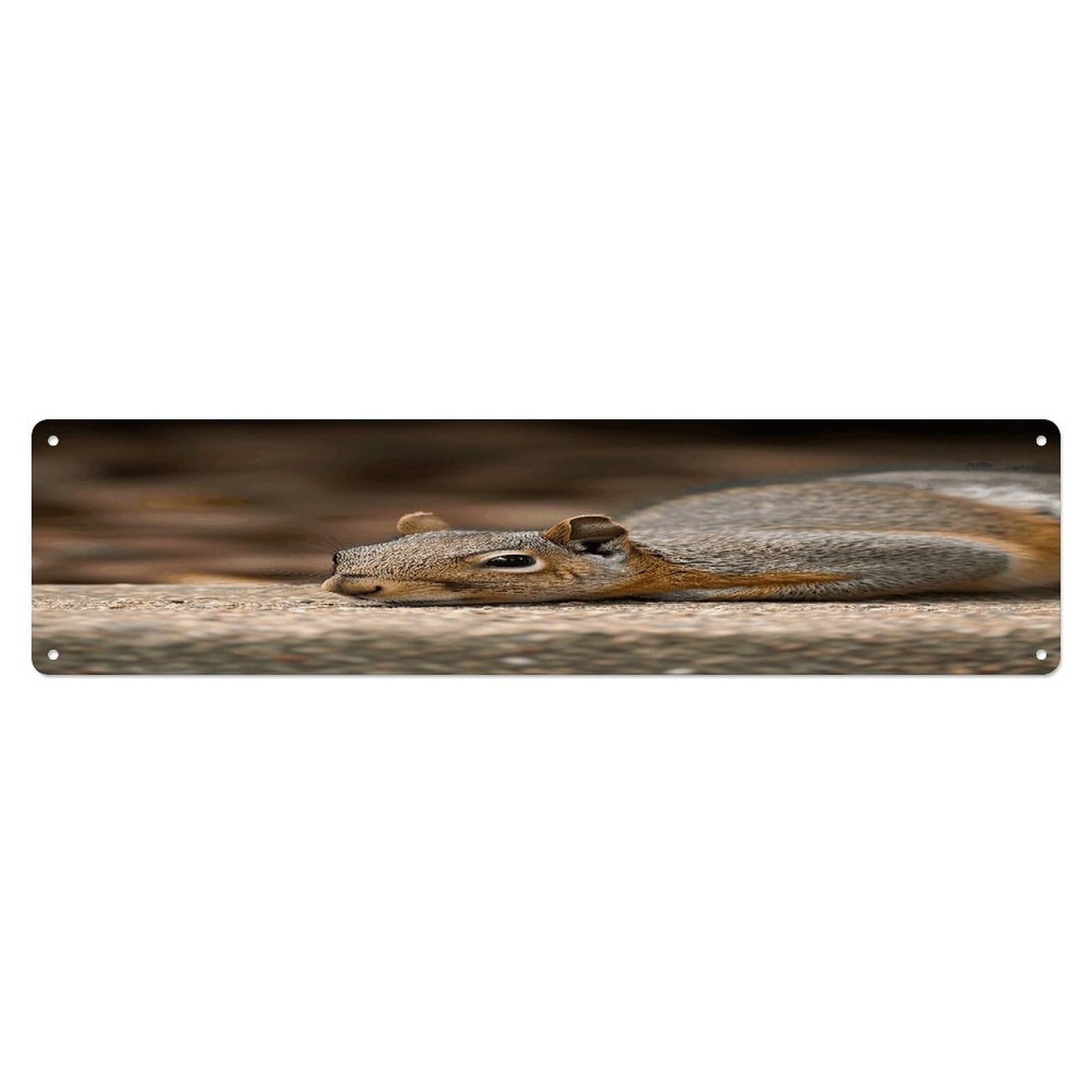 Adfgyerh Style Squirrel Just Laying Wall Decor Aluminum Waterproof. Plaque, Practical Gift,Sign 15.7X3.9 Inch Poster,For Home, Office, Business, Garage– Indoor/Outdoor