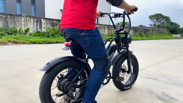 Electric Bike for Adults, 20 Inch Fat Tire Ebike for Off Road and Commuting