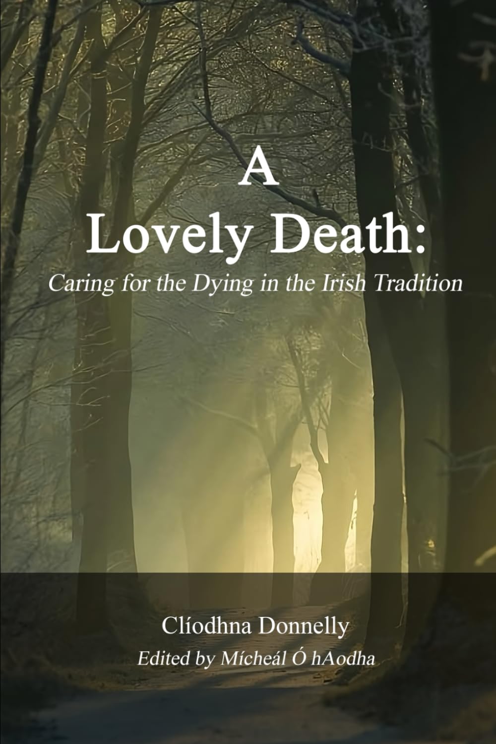 A Lovely Death: Caring for the Dying in the Irish Tradition