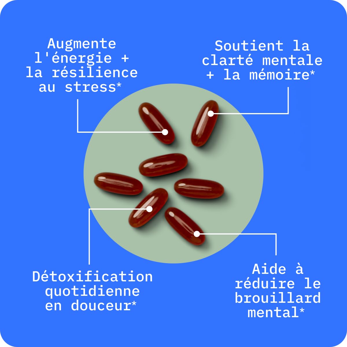 BodyBio PC - Complexe de Phospholipides avec Phosphatidylserine - Clarté Mentale, Memoire et Concentration - Complement Alimentaire Cerveau et Détox Douce - 60 Gélules