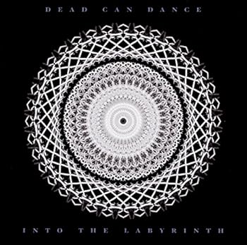 Vinyl Into The Labyrinth Book