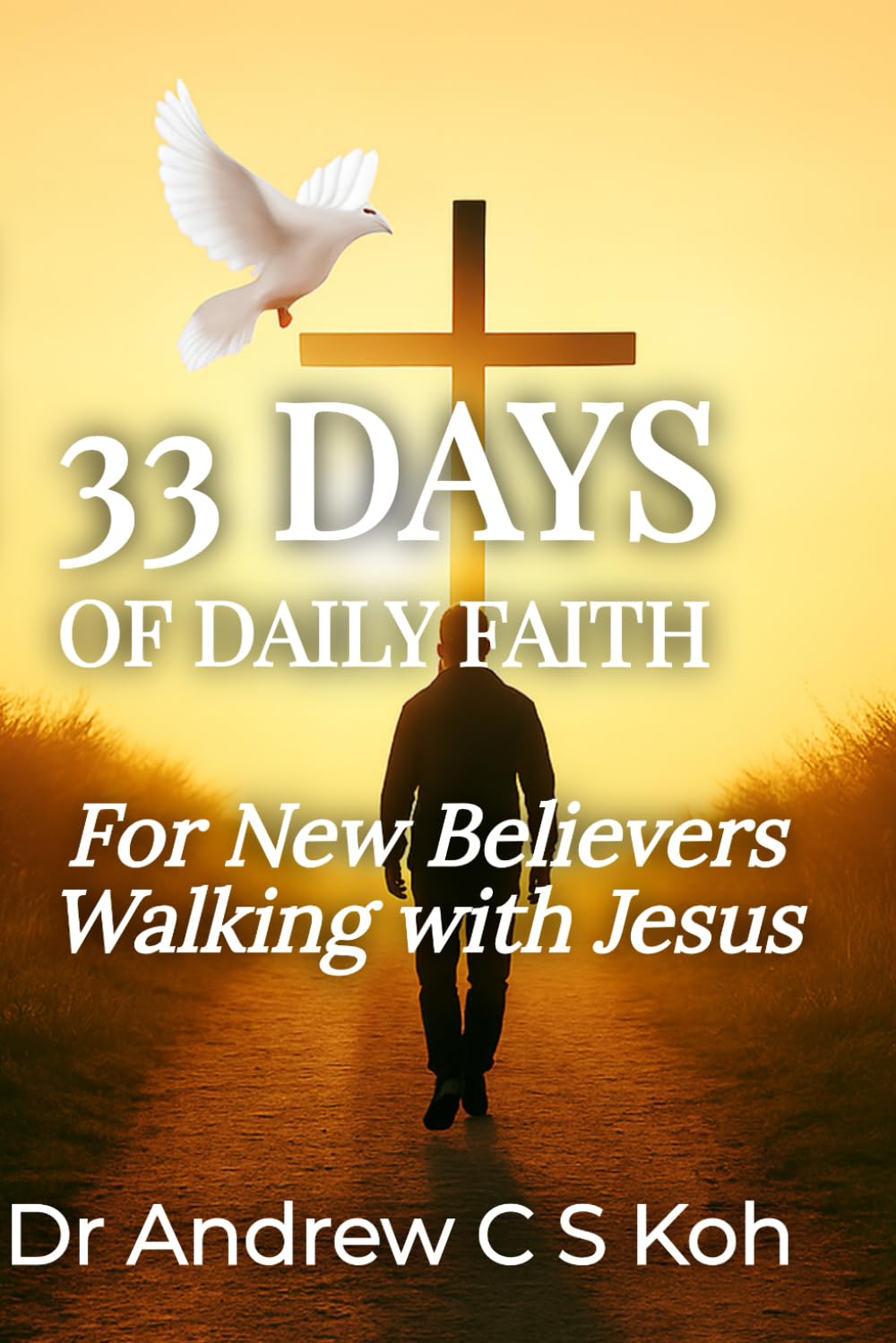 33 Days of Daily Faith: For New Believers Walking With Jesus (Grace Upon Grace)