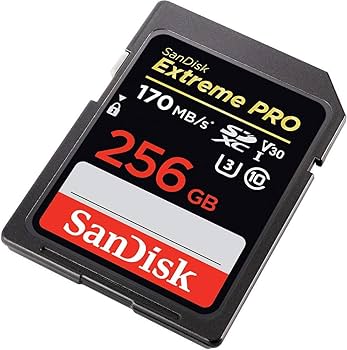 SanDisk - SANDISK Extreme PRO 256GB x2枚セット Amazon.com: SanDisk 256GB Micro SDXC Extreme Pro Memory Card