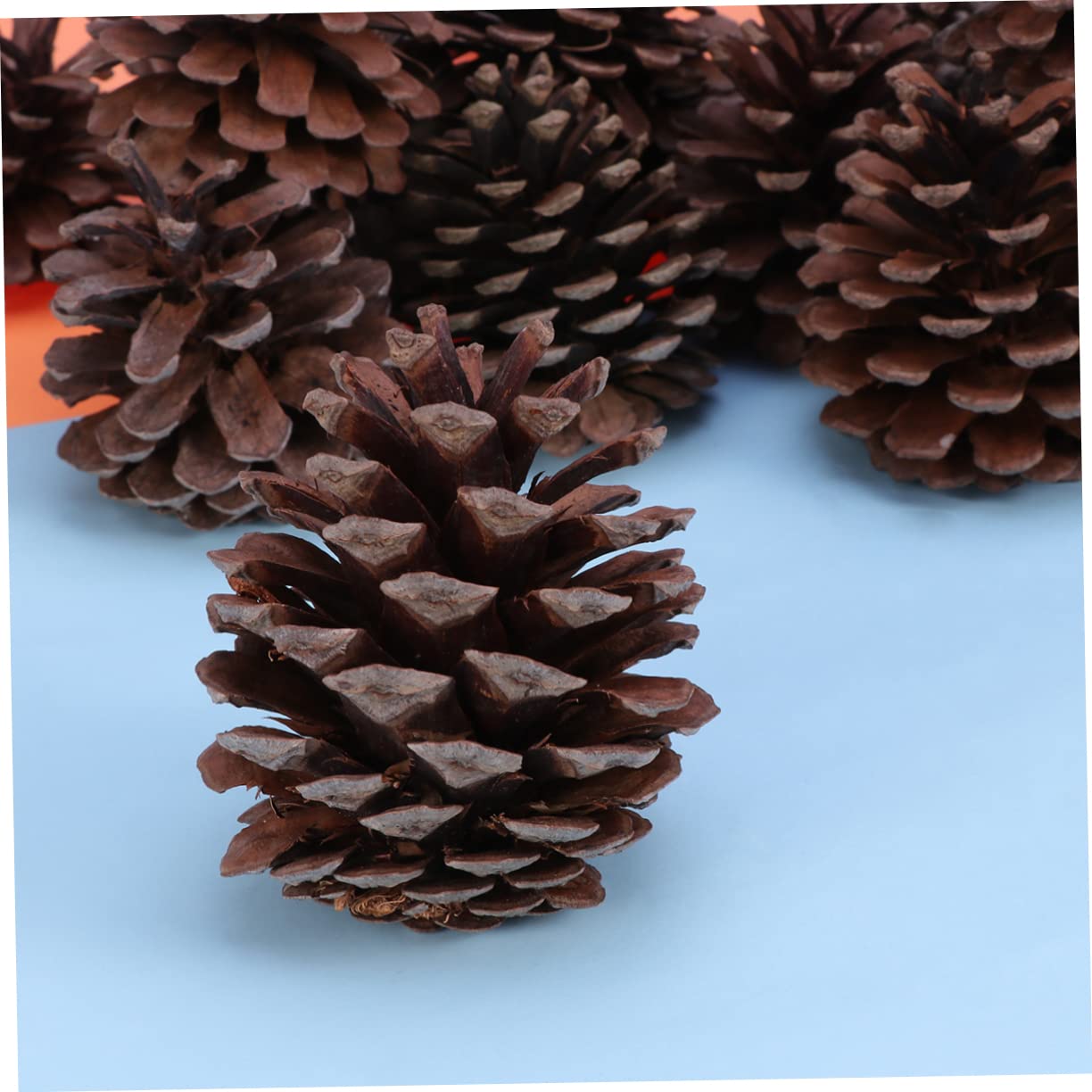 Natürliche Tannenzapfen Dekoration 50 Stück, 6-8cm, Weihnachten | Wiederverwendbar, für Winter und Festliche Arrangements, Passend für Bürogebäude und Restaurantdekoration