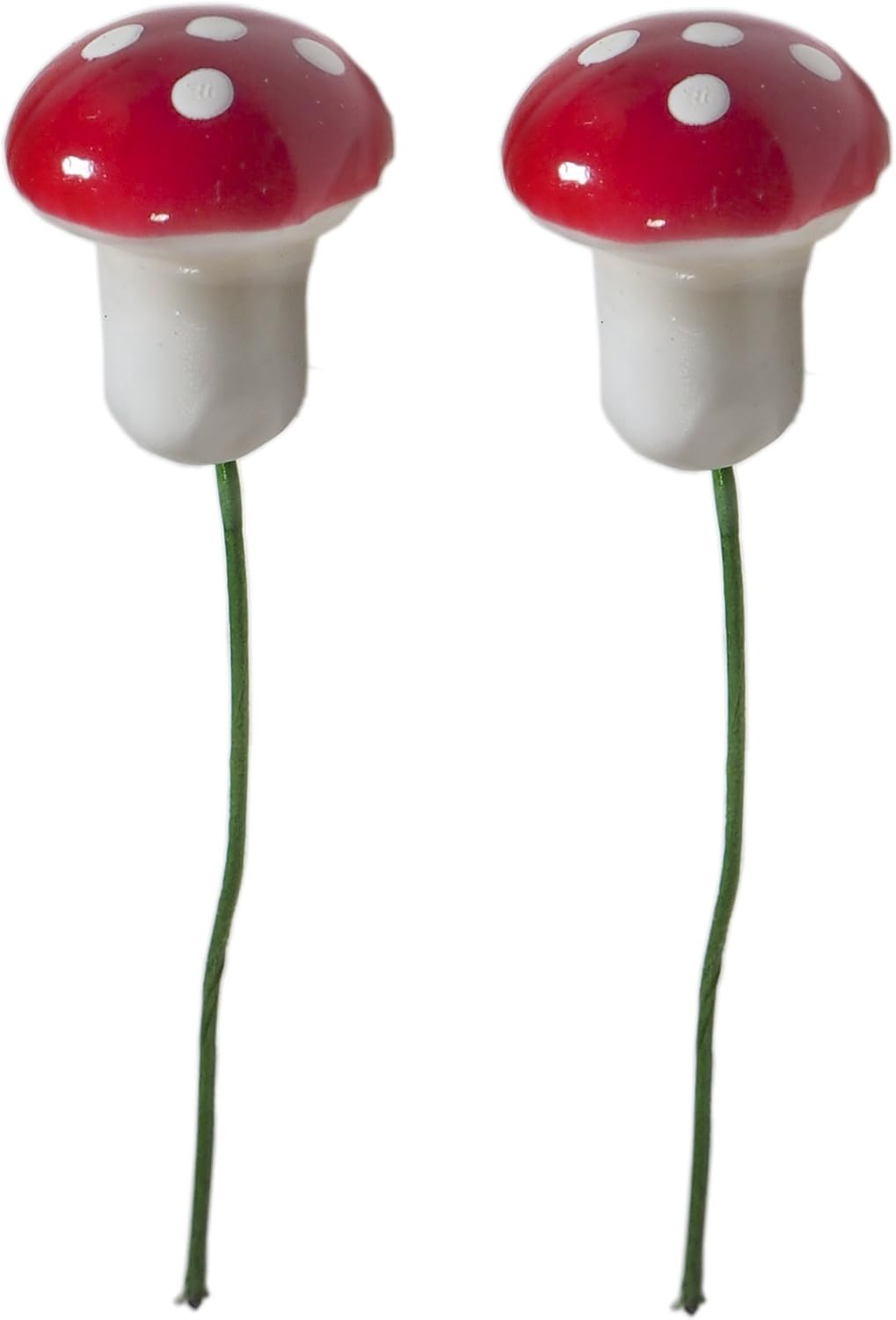 Exclusive Discount 90% Price TerraGreen Creations Moss Fairy Garden and Succulent Terrarium Accent Pack - Several Moss Types - Bark - Mini Figures