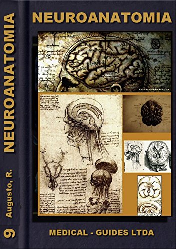 Neuroanatomia Básica: Morfofuncional do sistema nervoso (MedBook)