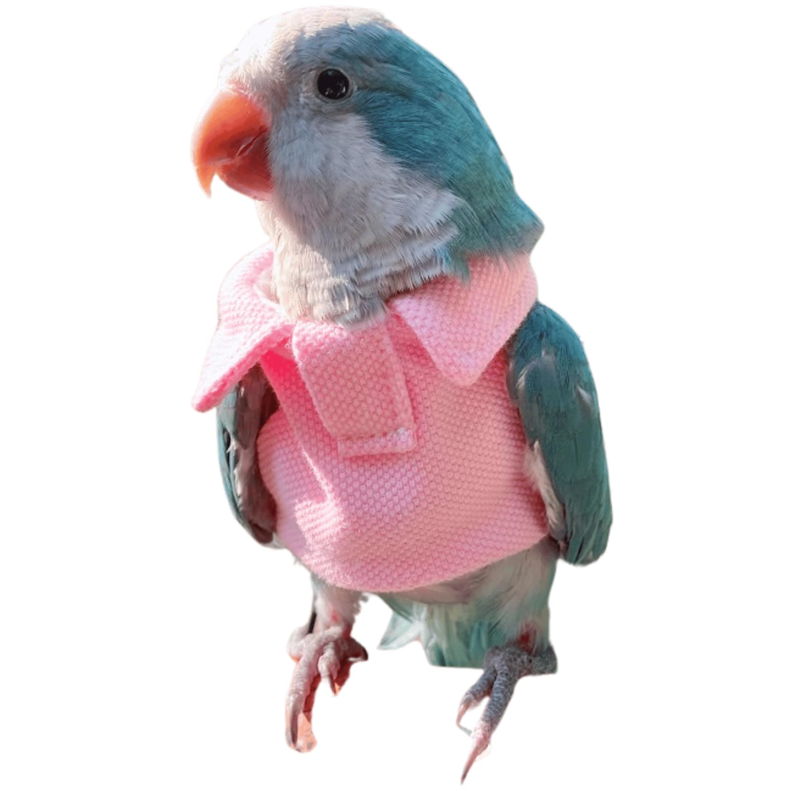 CXYYXF Bird Costume Bird Diaper Flight Suit Bird Pink Top Bird Clothes Cosplay Photo Prop for Parrots Lovebird Parakeet Cockatiel Small Animals Apparel (with Diaper,XS)